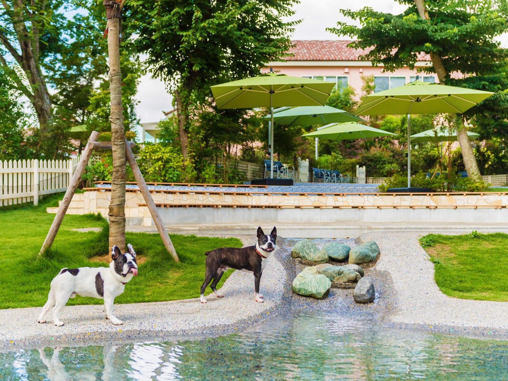 Hotel Koyaru-No-Sato Doggys Island à Yachimata Extérieur photo