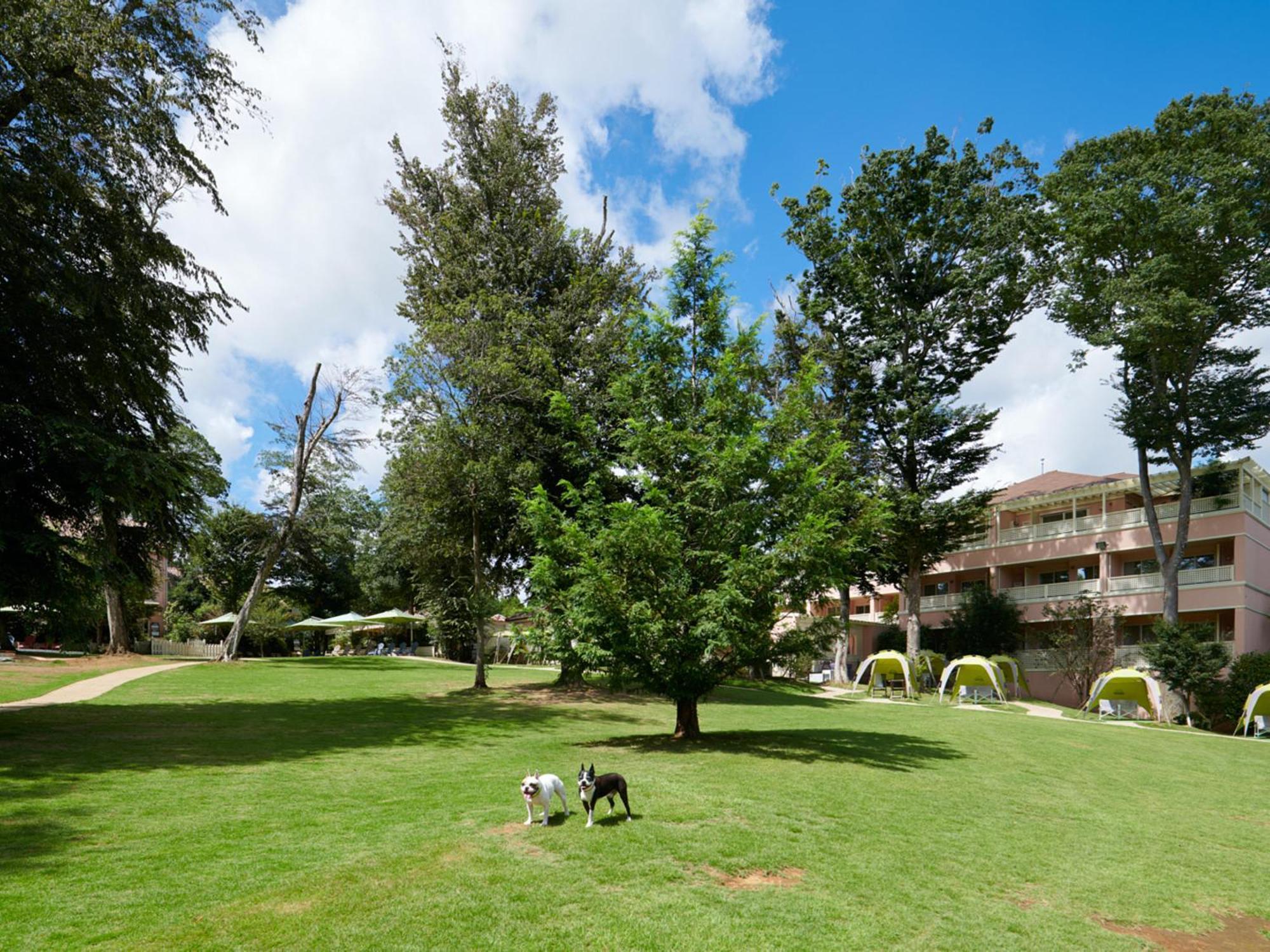 Hotel Koyaru-No-Sato Doggys Island à Yachimata Extérieur photo