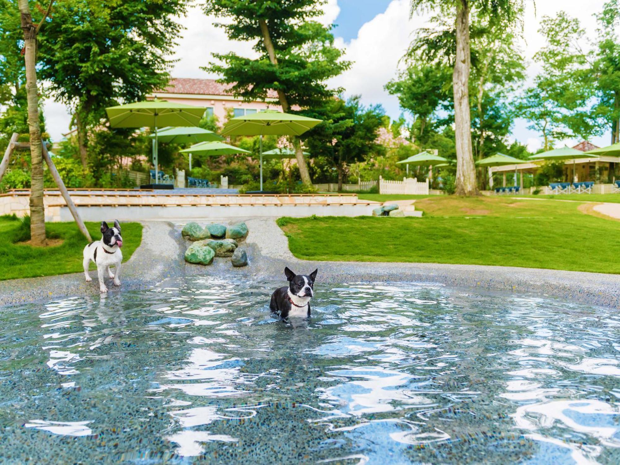 Hotel Koyaru-No-Sato Doggys Island à Yachimata Extérieur photo